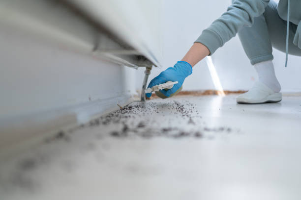 Trusted Cupertino, CA Pest Control Experts